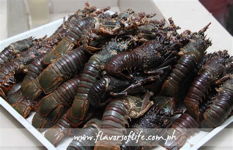 isabela delicacies|Isabela Food Tour (Part 2): Longganisa, Pancit .